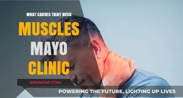 Understanding Tight Neck Muscles: Causes and Mayo Clinic Insights