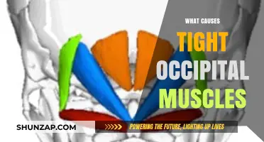 Understanding Occipital Muscle Tension: Causes and Triggers Explained