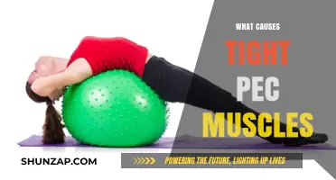 Understanding Tight Pec Muscles: Causes and Solutions for Relief