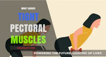 Unraveling the Causes of Tight Pectoral Muscles: A Comprehensive Guide