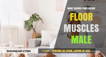 Understanding Male Pelvic Floor Tension: Causes and Solutions