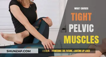 Understanding Tight Pelvic Muscles: Causes, Symptoms, and Relief Strategies