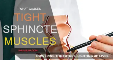 Tight Sphincter Muscles: Causes and Triggers