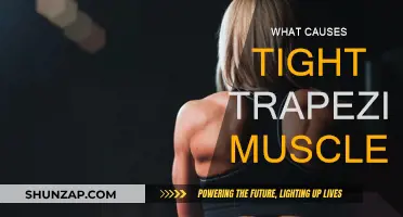 Tight Trapezius Muscles: Causes and Triggers