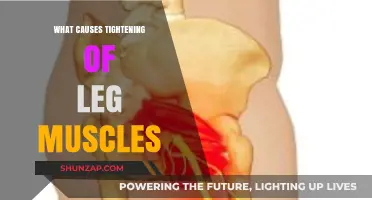 Understanding Leg Muscle Tightness: Causes and Effective Relief Strategies