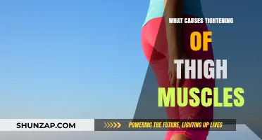 Understanding Thigh Muscle Tightness: Causes and Effective Relief Strategies