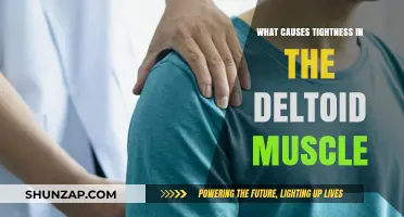 Understanding Deltoid Tightness: Causes and Effective Relief Strategies
