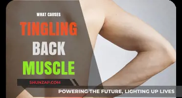 Tingling Back Muscles: Causes, Symptoms, and Effective Relief Strategies