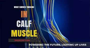 Understanding Calf Muscle Tingling: Causes and Potential Underlying Factors