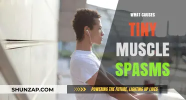 Understanding Tiny Muscle Spasms: Causes and Triggers Explained