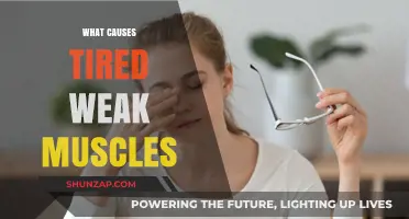 Unraveling the Causes of Tired, Weak Muscles: A Comprehensive Guide