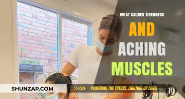 Unraveling Tiredness and Muscle Aches: Common Causes and Solutions