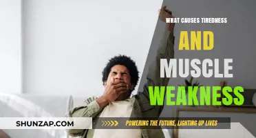 Unraveling the Causes of Tiredness and Muscle Weakness: A Comprehensive Guide