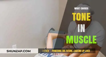 Understanding Muscle Tone: Causes, Mechanisms, and Factors Explained