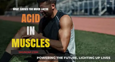 Understanding Lactic Acid Buildup: Causes and Muscle Fatigue Explained