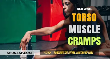 Understanding Torso Muscle Cramps: Causes and Prevention Strategies
