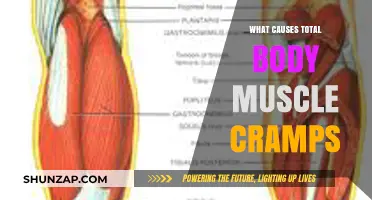 Understanding Total Body Muscle Cramps: Causes and Prevention Tips