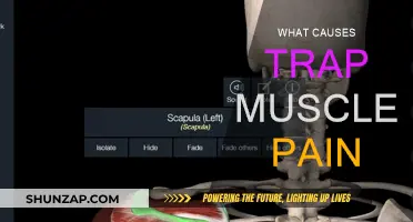Trap Muscle Pain: Causes and Triggers