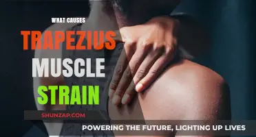 Understanding Trapezius Muscle Strain: Causes, Symptoms, and Prevention Tips