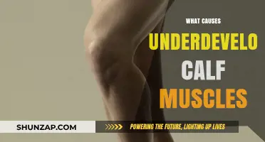 Why Your Calf Muscles Remain Underdeveloped: Causes and Solutions