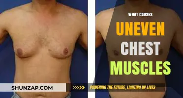 Uneven Chest Muscles: Causes, Prevention, and Effective Solutions Explained