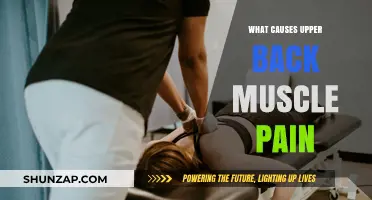 Understanding Upper Back Muscle Pain: Common Causes and Triggers