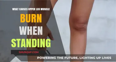 Why Your Upper Leg Muscles Burn When Standing: Causes Explained