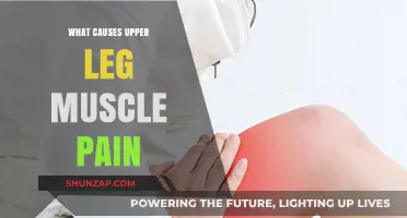 Understanding Upper Leg Muscle Pain: Causes and Contributing Factors
