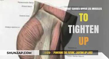 Why Your Upper Leg Muscles Tighten: Causes and Relief Tips