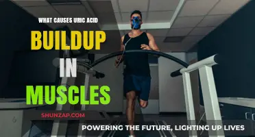 Understanding Uric Acid Buildup: Causes and Muscle Impact Explained