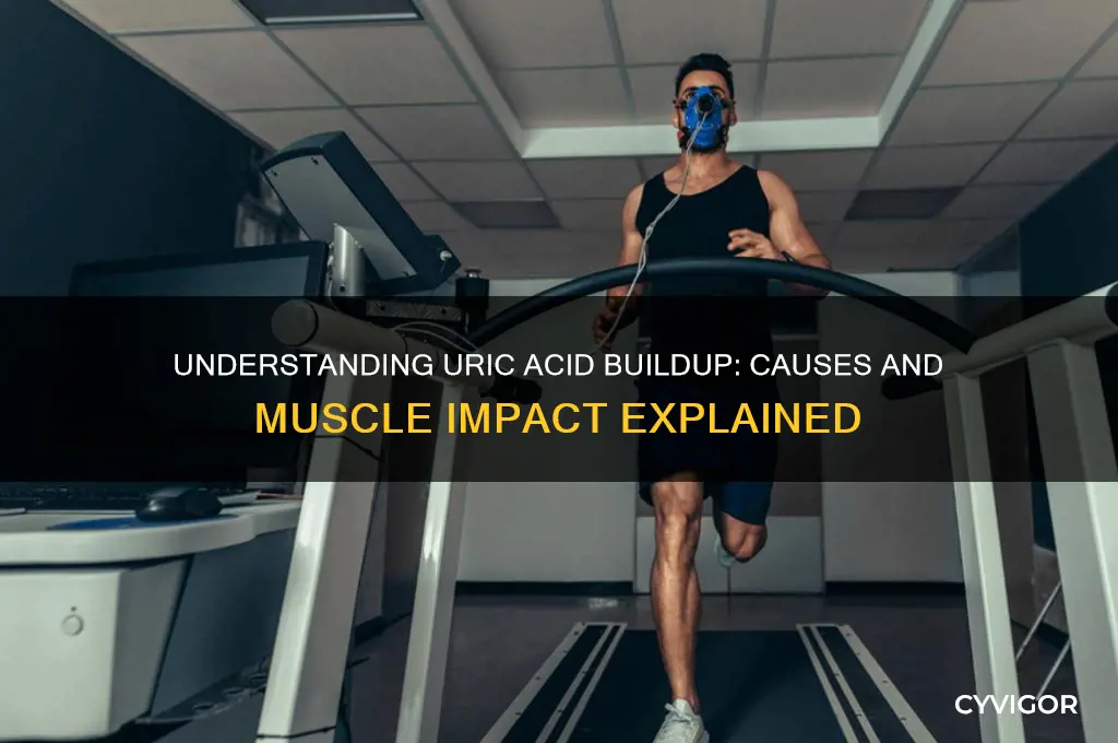 what causes uric acid buildup in muscles