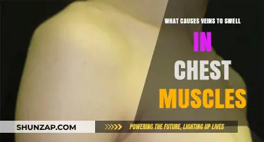 Understanding Swollen Chest Veins: Causes and Concerns Explained