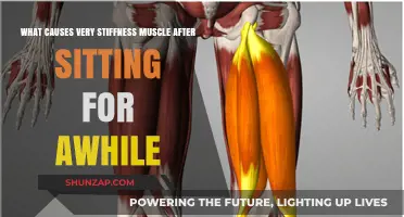 Why Muscles Stiffness Occurs After Prolonged Sitting: Causes and Solutions