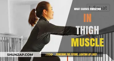 Understanding Thigh Muscle Vibrations: Causes and Solutions Explained