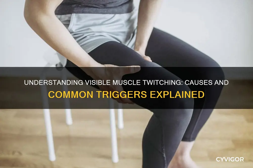 what causes visible muscle twitching