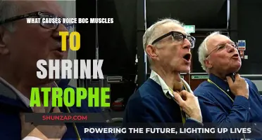 Understanding Voice Box Muscle Atrophy: Causes and Prevention Strategies