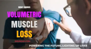 Understanding Volumetric Muscle Loss: Causes and Contributing Factors