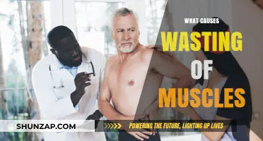 Understanding Muscle Wasting: Causes, Symptoms, and Prevention Strategies