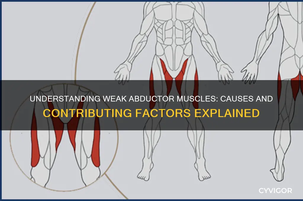 what causes weak abductor muscles