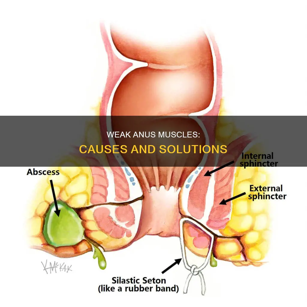 what causes weak anus muscles