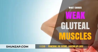 Understanding Weak Glutes: Causes and Impact on Your Body