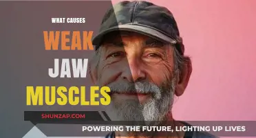Understanding Weak Jaw Muscles: Causes and Contributing Factors Explained