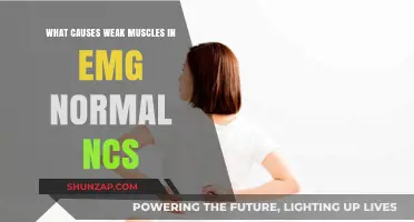 Understanding Weak Muscles: Exploring Causes Despite Normal EMG and NCS Results