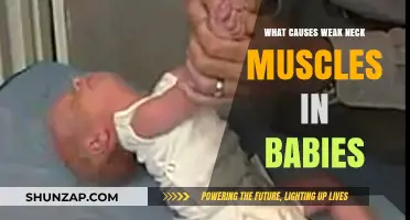 Understanding Weak Neck Muscles in Babies: Causes and Concerns
