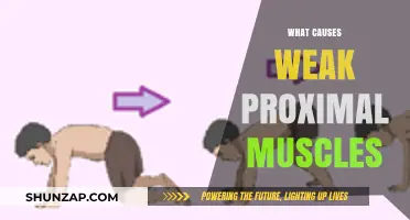 Understanding Weak Proximal Muscles: Causes and Contributing Factors Explained