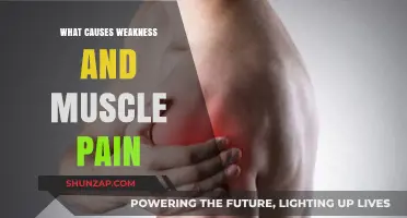 Understanding Weakness and Muscle Pain: Common Causes and Solutions