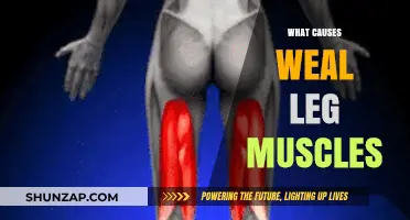 Weak Leg Muscles: Causes, Prevention, and Strengthening Strategies Explained