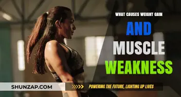 Understanding Whole Body Muscle Stiffness: Causes And Contributing ...