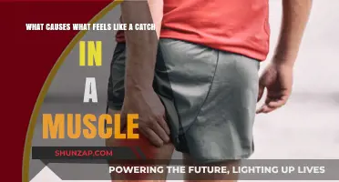 Understanding Muscle Catches: Causes and Triggers Explained Simply