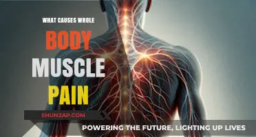 Understanding Whole Body Muscle Pain: Causes and Contributing Factors